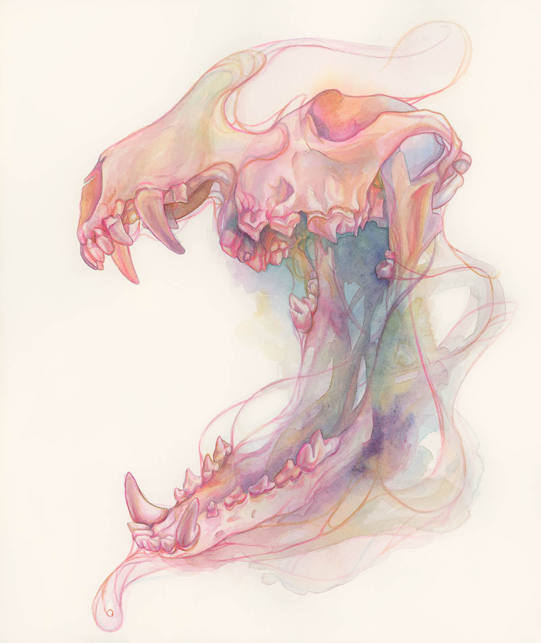 These Teeth That Gnash - 11x14 Watercolor Skull Art Open Edition Print