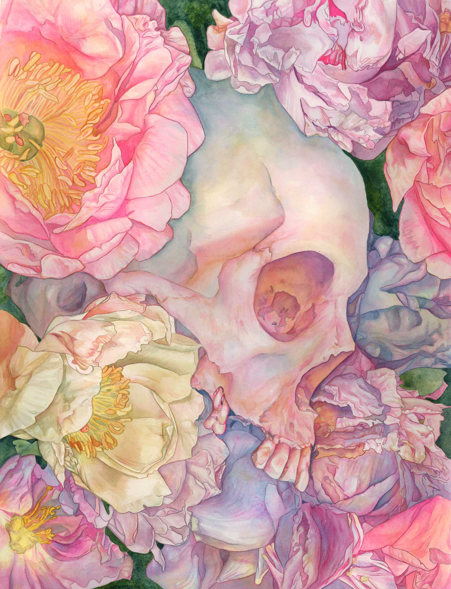 Hymnal – 11x14 Watercolor Skull Art Open Edition Print