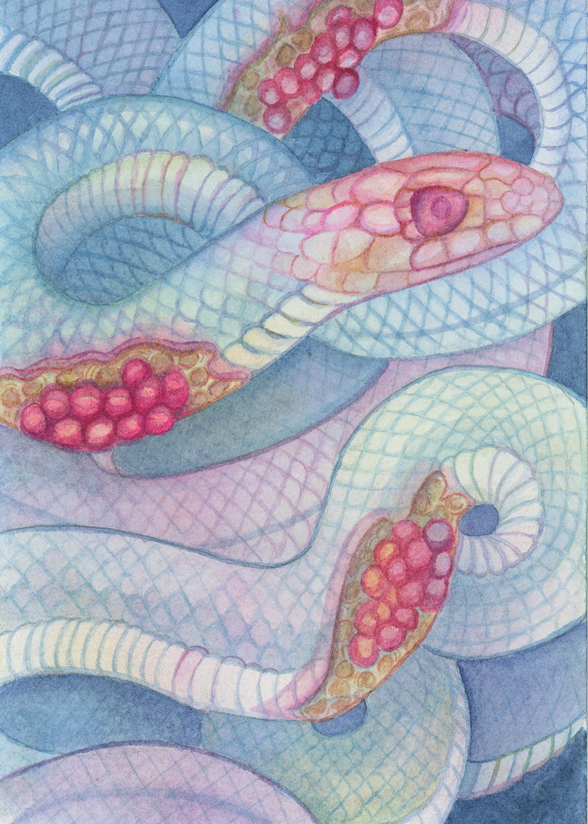 SM5x7BellyFullofJewels-