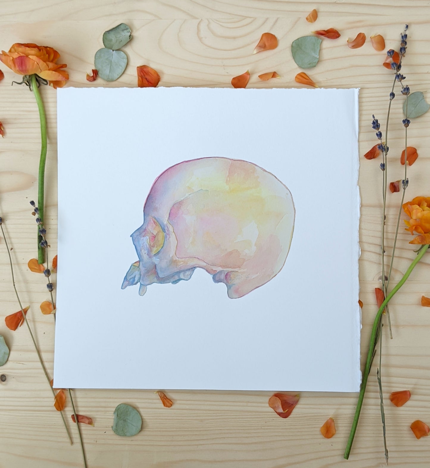 HOURS Day 7 – Original Watercolor Skull Painting