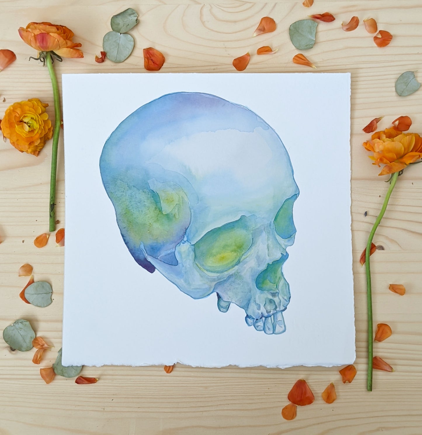 HOURS Day 9 – Original Watercolor Skull Painting
