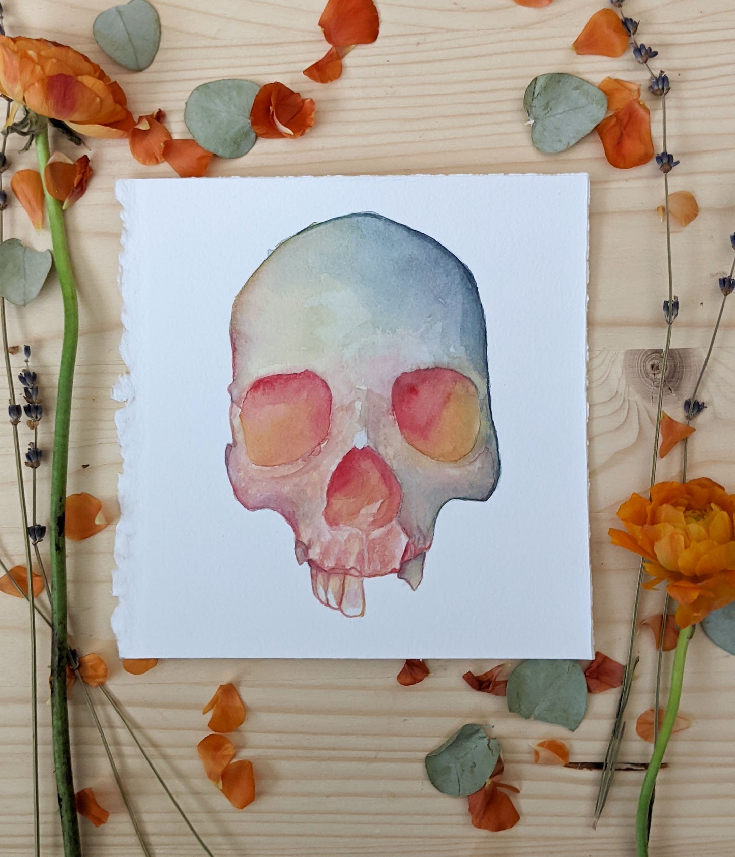 HOURS Day 21 – Original Watercolor Skull Painting