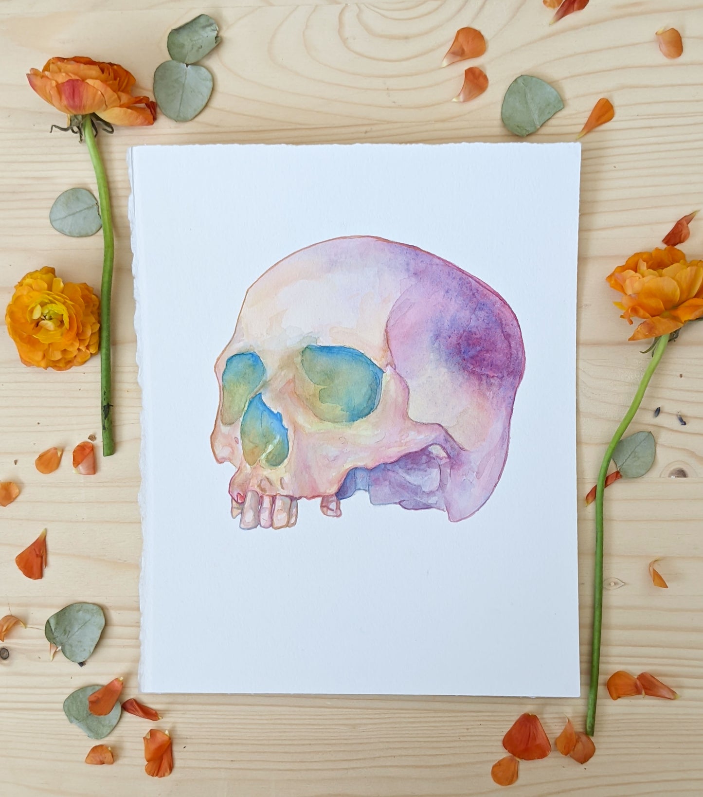 HOURS Day 23 – Original Watercolor Skull Painting