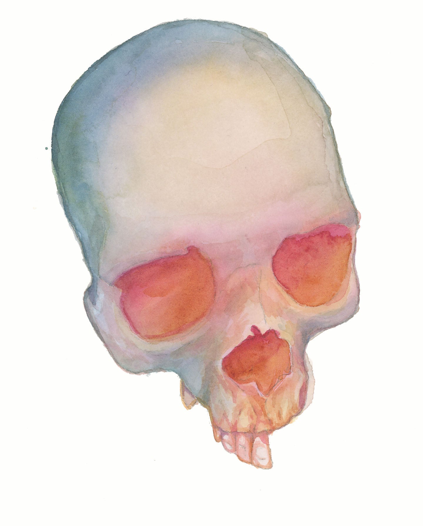 HOURS Day 30 – Original Watercolor Skull Painting