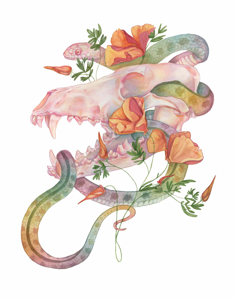 Limited Edition Prints