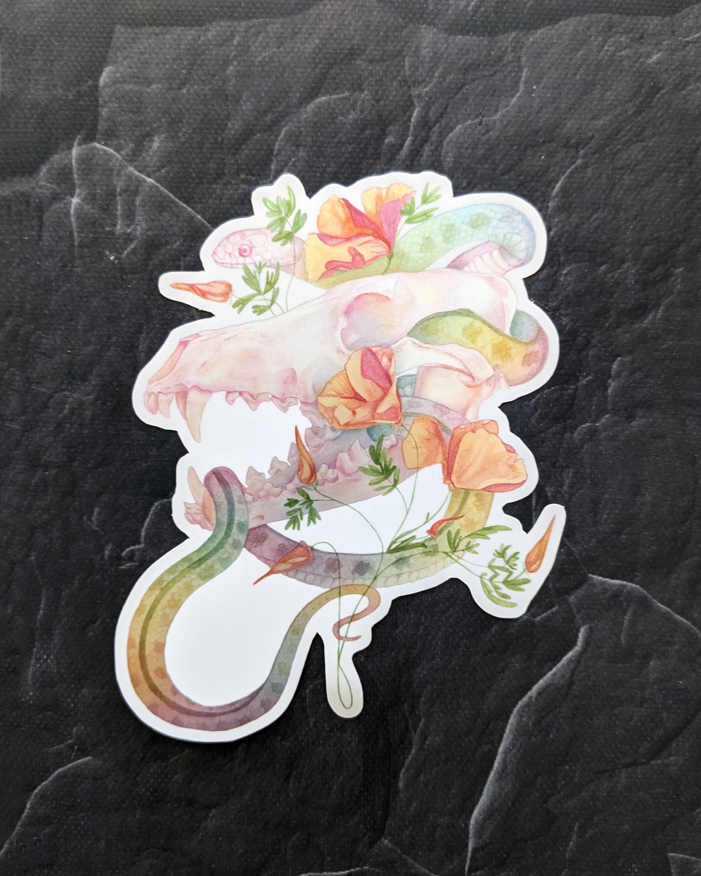 A rainbow snake winds its way around a coyote skull with orange California Poppies in this rainbow holographic sticker