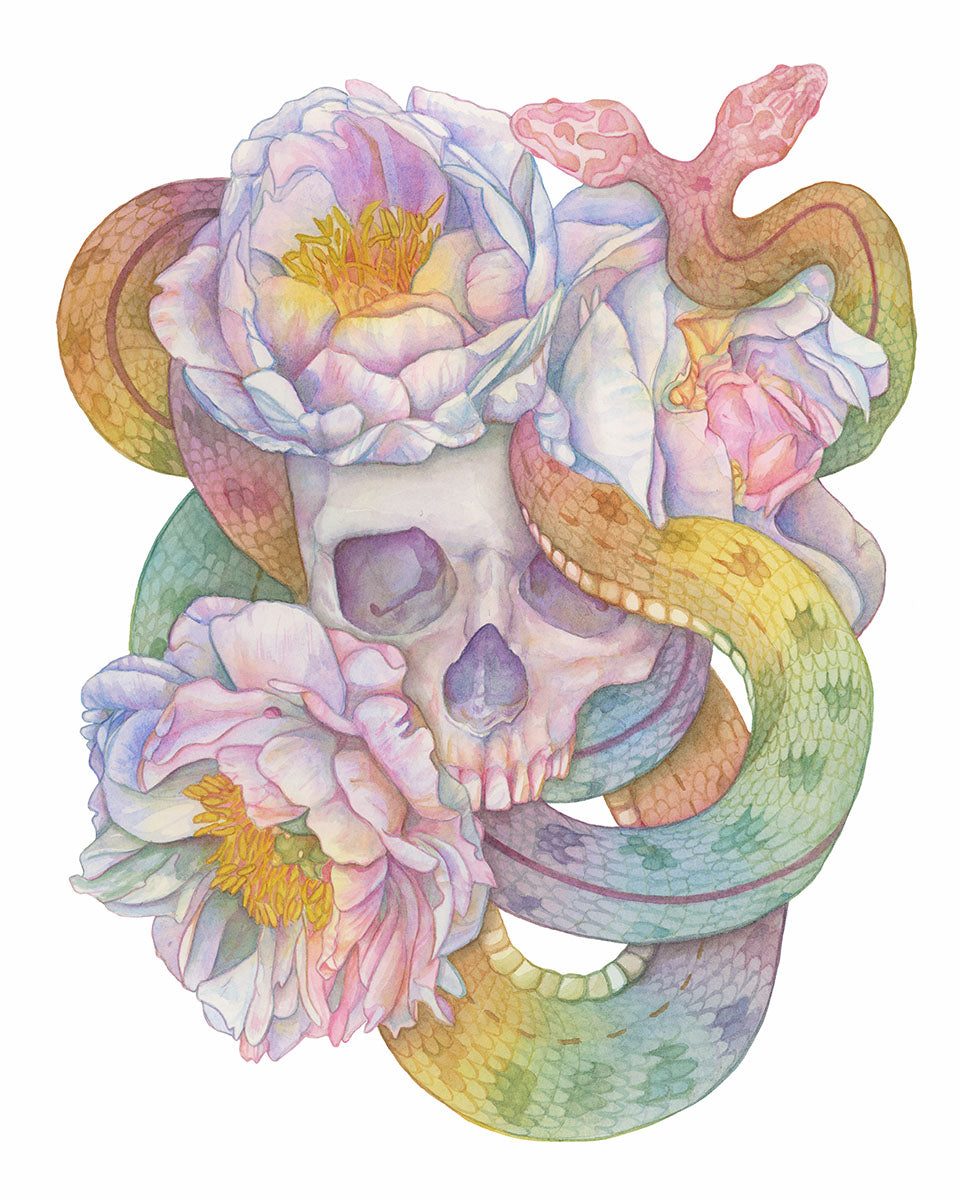 The Things We Bury – 11x14 Watercolor Skull and Snake Art Open Edition Print