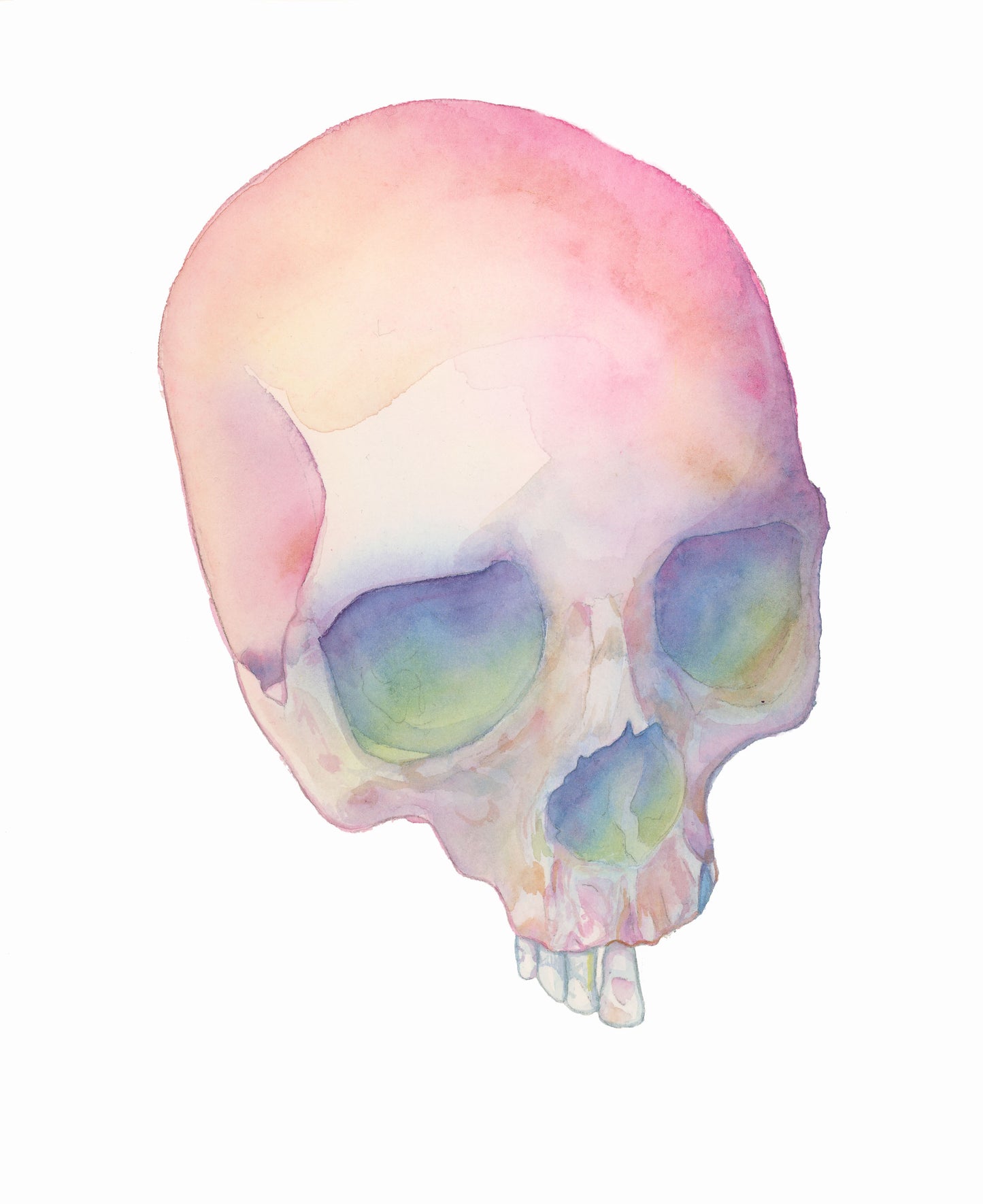 HOURS Day 5 – Original Watercolor Skull Painting