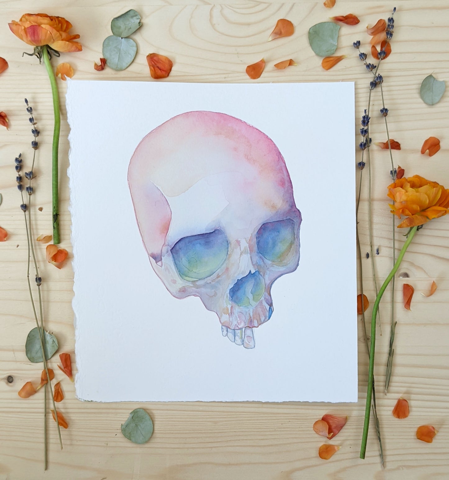 HOURS Day 5 – Original Watercolor Skull Painting