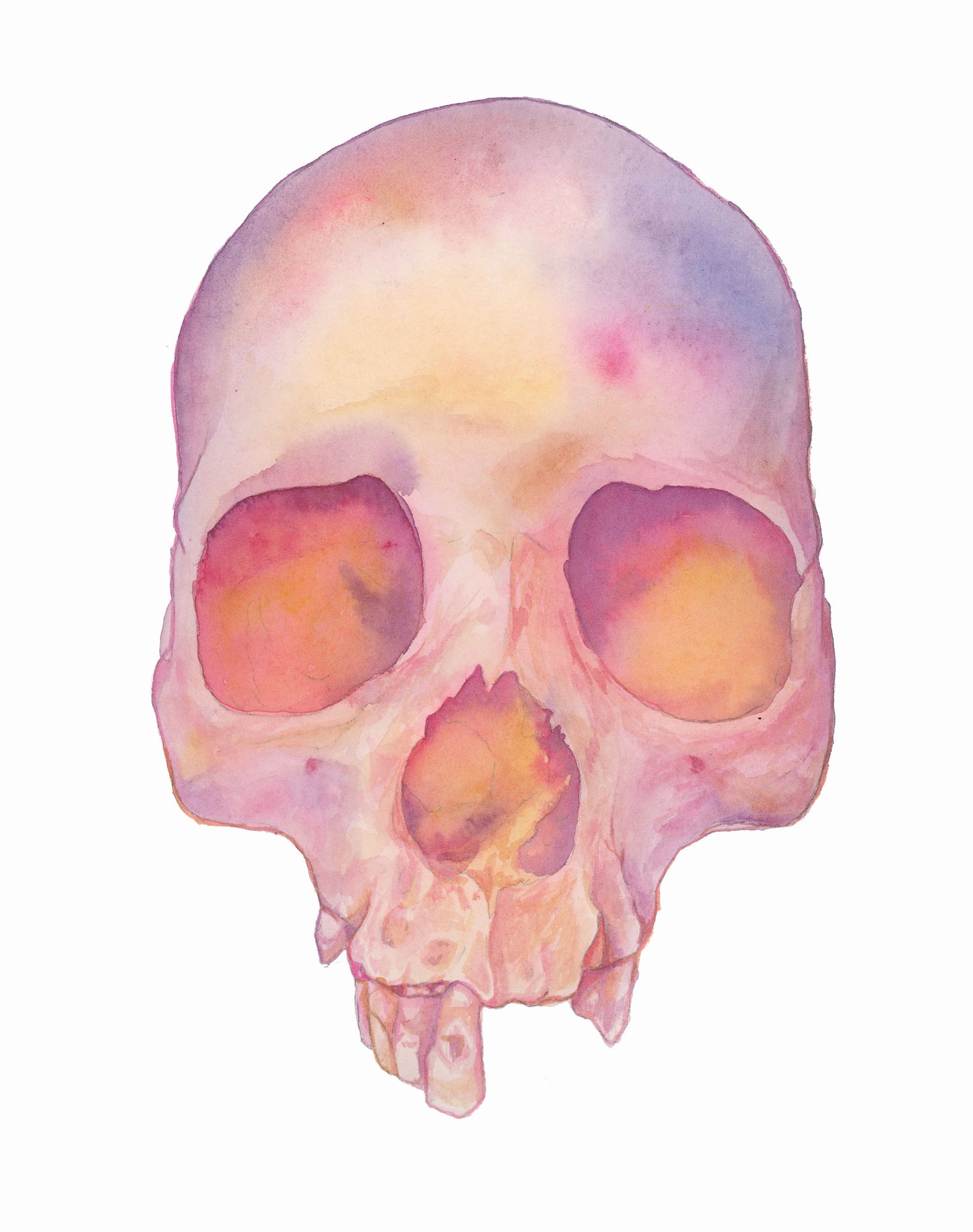 HOURS Day 8 – Original Watercolor Skull Painting