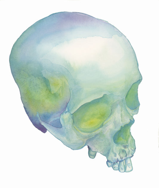 HOURS Day 9 – Original Watercolor Skull Painting