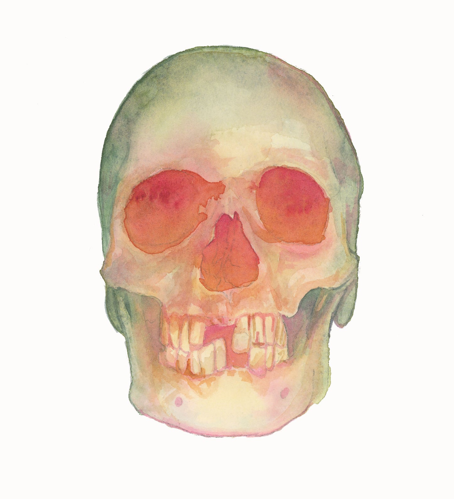 HOURS Day 22 – Original Watercolor Skull Painting