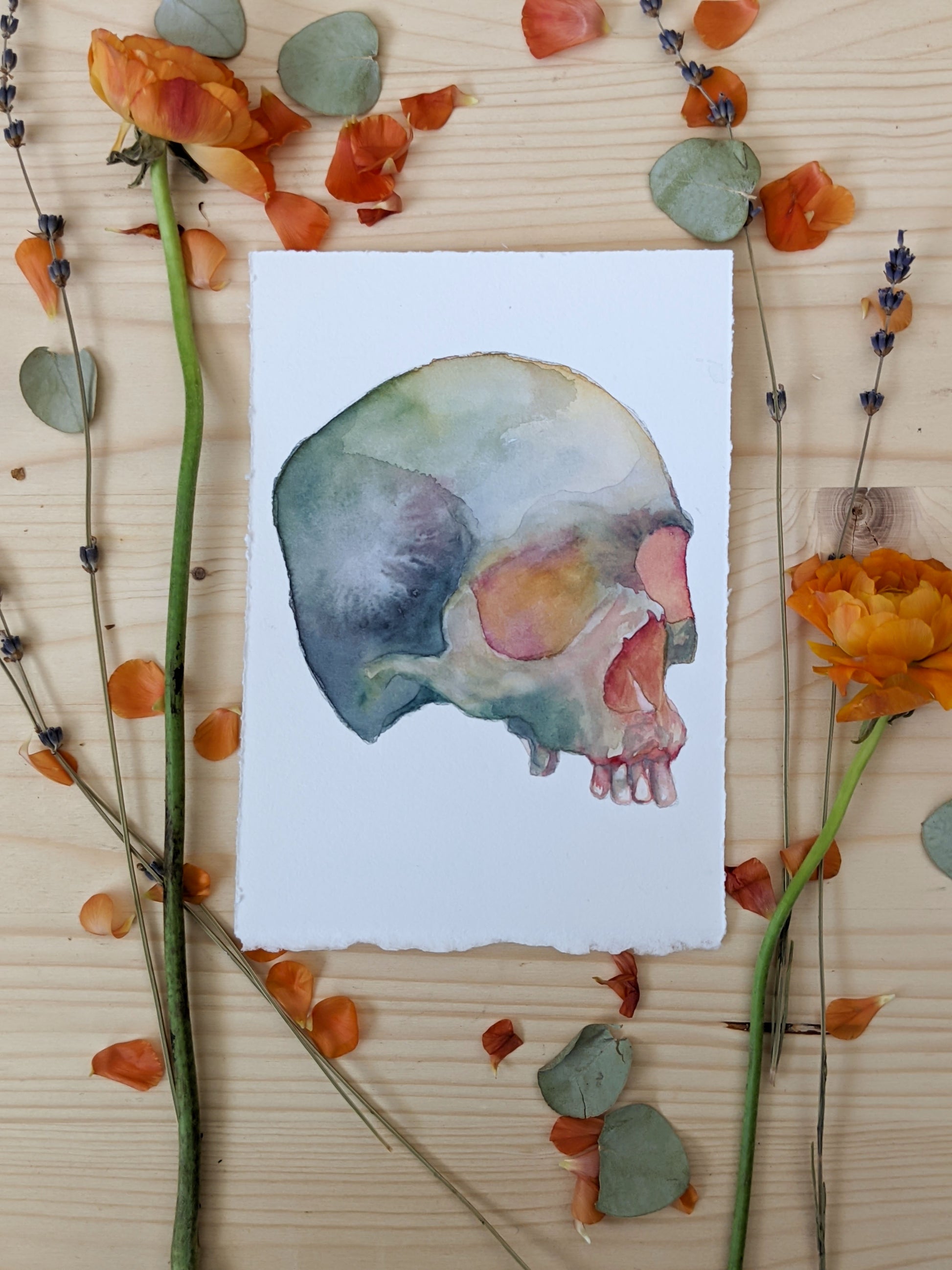 HOURS Day 26– Original Watercolor Skull Painting by Emerald Barkley –  Emerald Barkley Art & Design