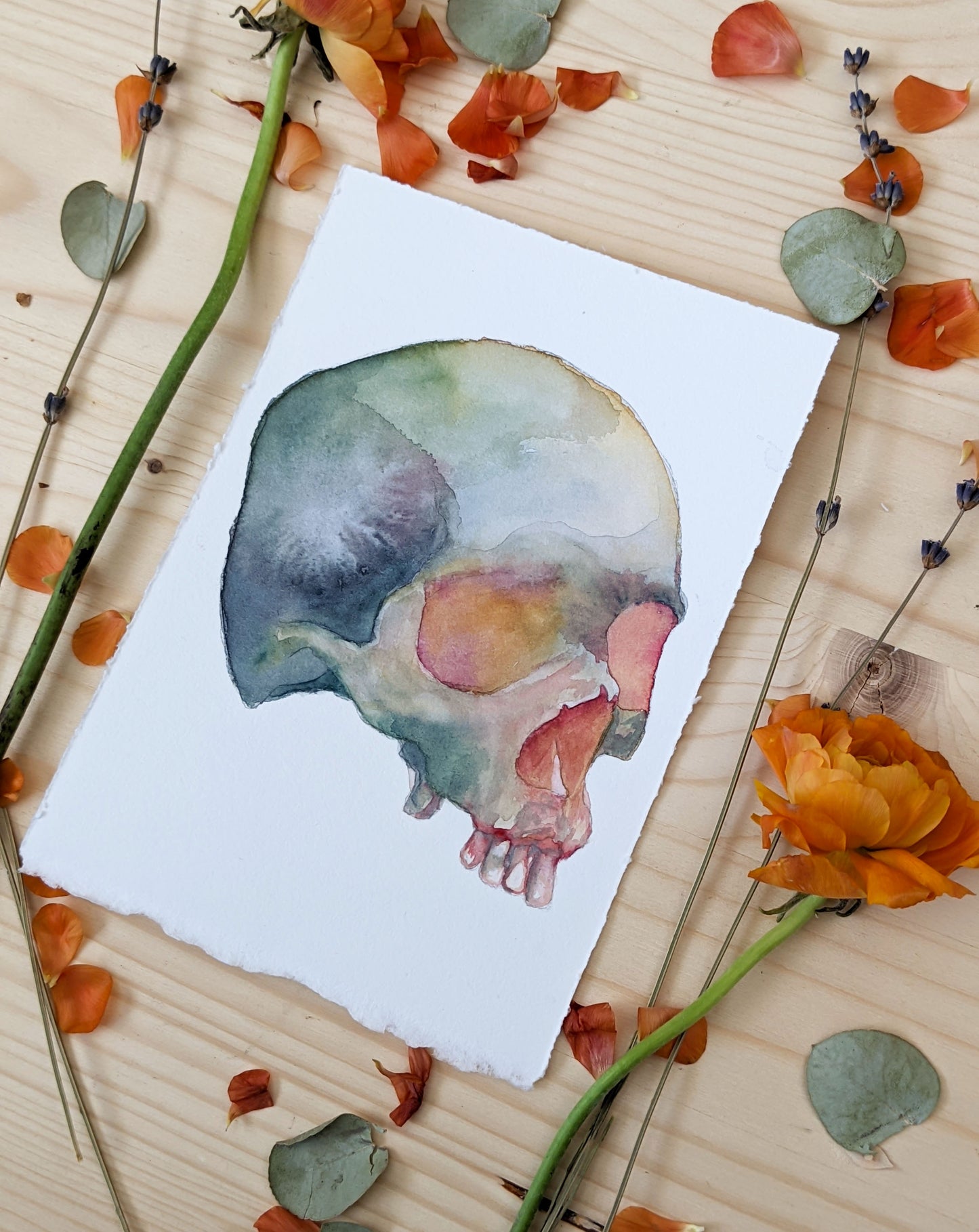 HOURS Day 26 – Original Watercolor Skull Painting