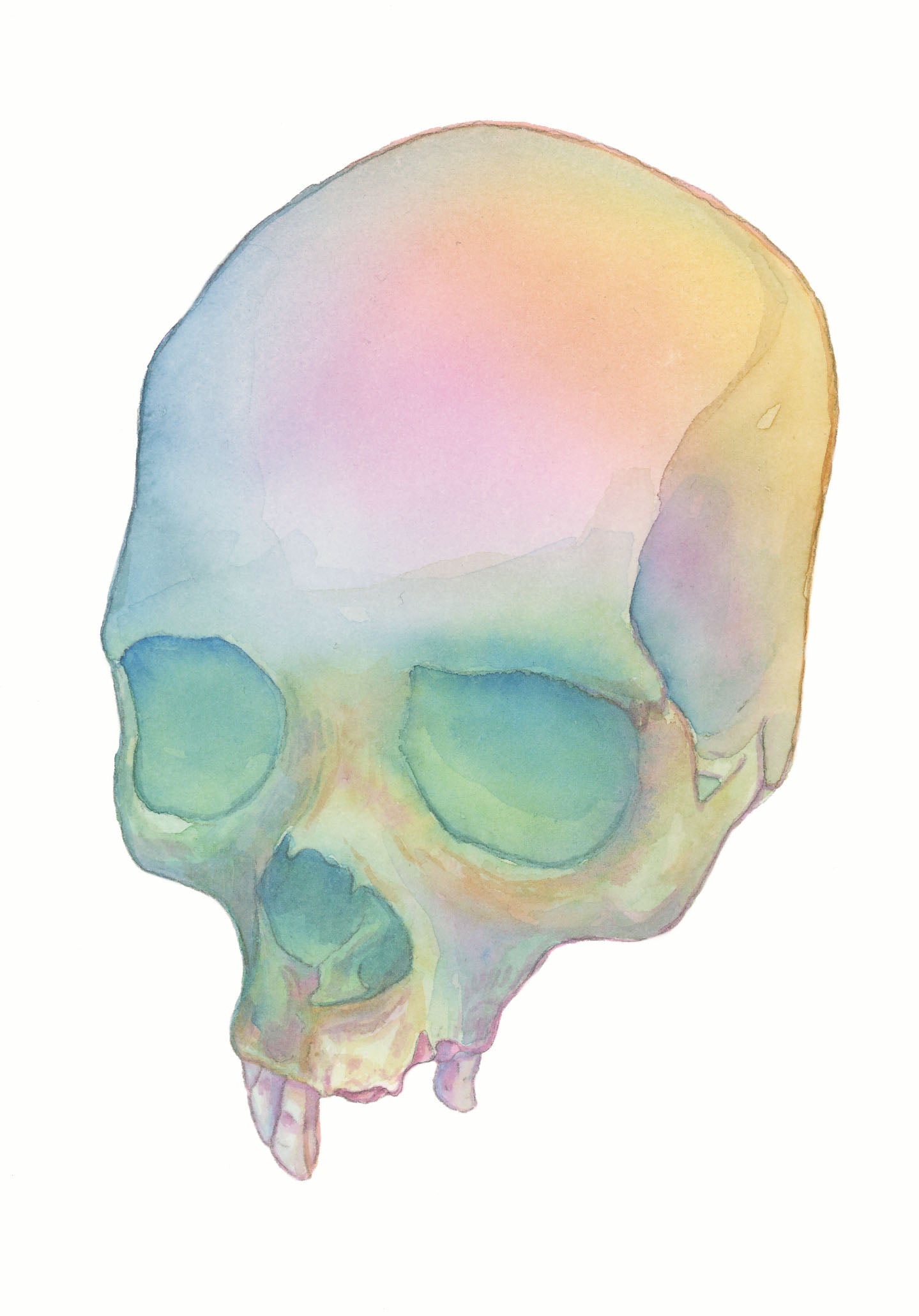 HOURS Day 27 – Original Watercolor Skull Painting