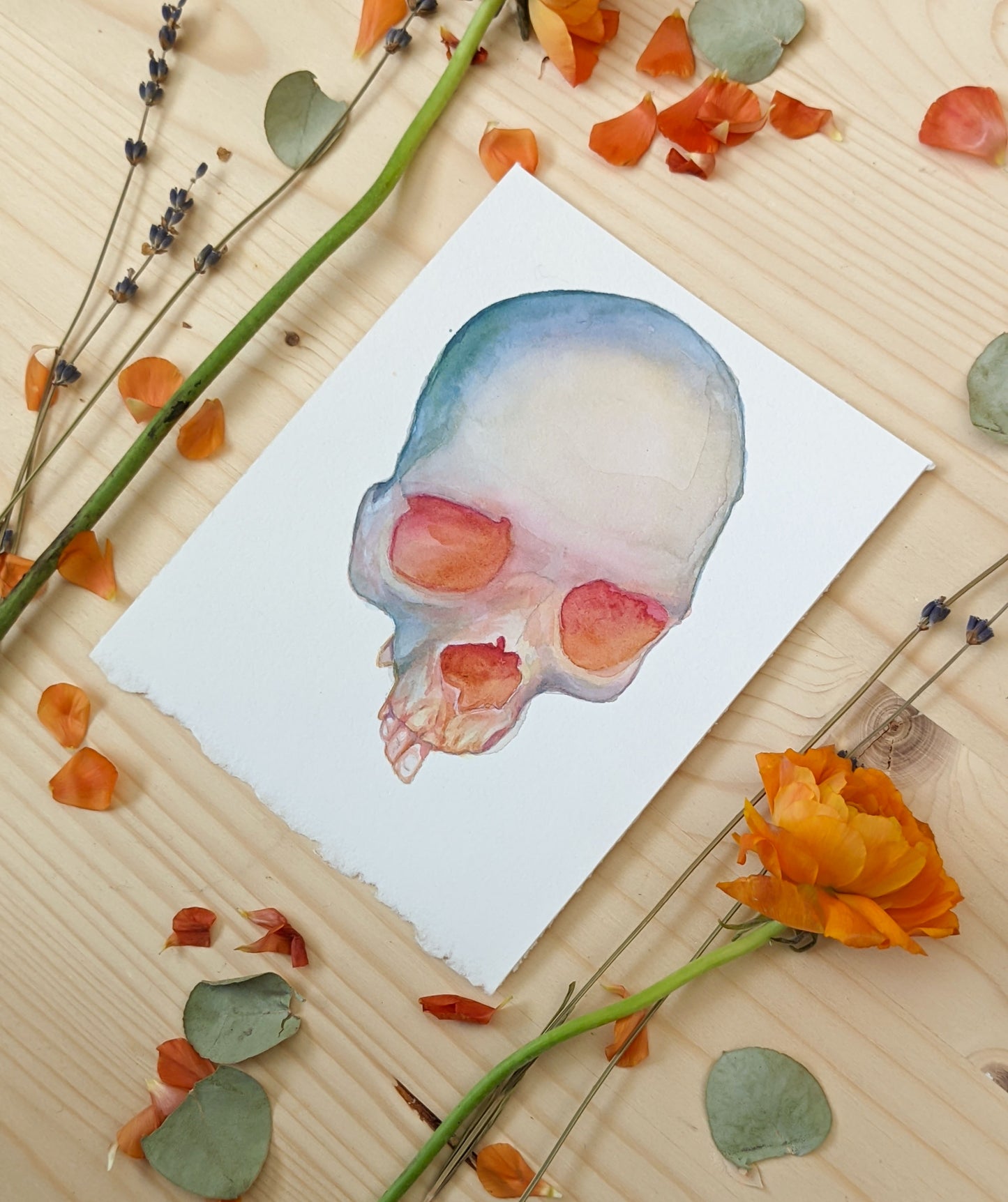 HOURS Day 30 – Original Watercolor Skull Painting