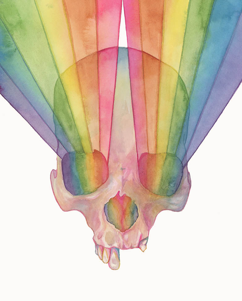Our Light is Gorgeous – Original Watercolor Skull Painting